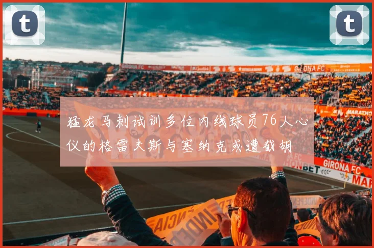 猛龙马刺试训多位内线球员76人心仪的格雷夫斯与塞纳克或遭截胡