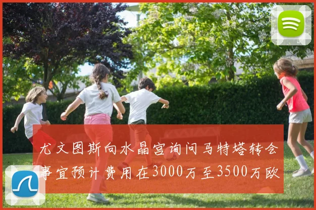 尤文图斯向水晶宫询问马特塔转会事宜预计费用在3000万至3500万欧元之间